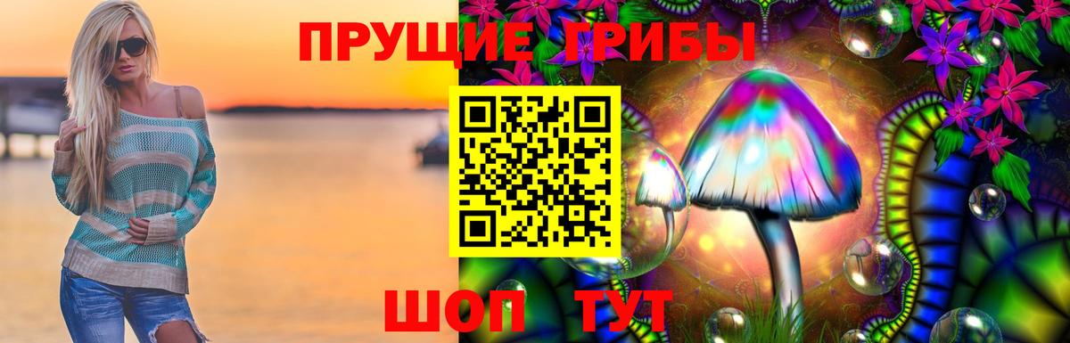 Псилоцибиновые грибы Magic Shrooms Звенигород